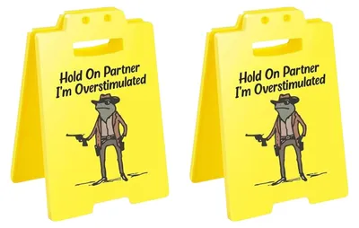 Produktbild von 1/2/3 Stück „Vorsicht Überreizung“-Tischschild mit Cowboy-Frosch-Motiv – „Halt durch, Partner, ich bin überreizt“ – Mini-Tischschild für Zuhause oder Büro – Scherzartikel für Kollegen