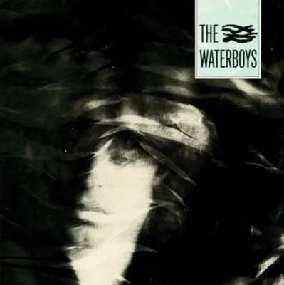 Produktbild von The Waterboys - The Waterboys (Reissue) (LP)