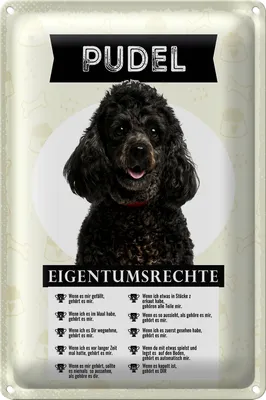Produktbild von Blechschild Spruch 20x30cm Pudel Eigentumsrechte