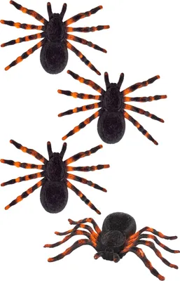 Produktbild von 4 Beflockte Taranteln - Schwarze Spinnen für Halloween