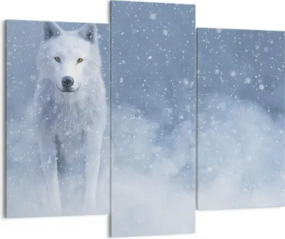 Produktbild von Bild auf Leinwand - Leinwandbild - 3 Teile - Weiß Wolf Schnee - 130x100cm - Wand Bild - Wanddeko - Wandbilder - Leinwanddruck - Bilder - Wanddekoration - Leinwand bilder - Wandbild - CB130x100-5006