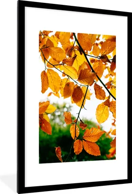 Produktbild von MuchoWow® Gerahmtes Poster Herbstblätter - Baum - Rustikal 60x90 cm - Poster mit Schwarzem Bilderrahmen Wandposter Rahmen Foto Bilder - Dekoration - Wandposter Wohnzimmer - Hochwertig