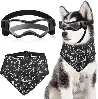 Sonstiges Hundezubehör, Hauptbild