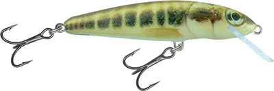 Produktbild von Salmo Minnow Wobbler , Salmo Farben:Minnow, Länge/Gewicht/Laufverhalten/Tauchtiefe:6cm / 4g / schwimmend / 0.5-1.0m