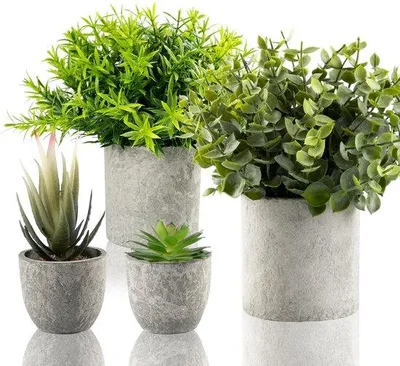 Image de Lot de 4 plantes artificielles, plantes artificielles avec romarin, eucalyptus et fougère, artificielles, décoratives, avec pots, pour le balcon, le bureau, la chambre, la maison, la décoration d'intérieur