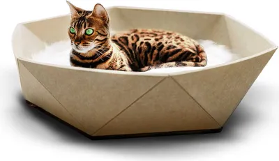 Produktbild von Katzenkorb Zoey aus Filz · beige · Designbett für Katzen