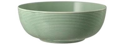 Immagine prodotto di SELTMANN Ciotola per battute, capacità: 1,72 litri, altezza: 79 mm, ø: 200 mm, verde salvia
