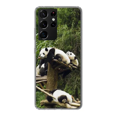 Produktbild von MuchoWow® Handyhülle Schutzhülle Hülle für Samsung Galaxy S21 Ultra Pandas - Holz - Treppe Silikon Softcase Handy Hülle - Mobiltelefon