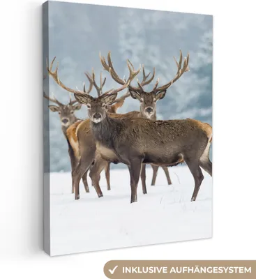 Produktbild von MuchoWow® - Leinwandbilder - Hirsche - Tiere - Schnee - Winter - Landschaft - Natur, Wandbild, Wanddeko Bilder Wohnzimmer, 90x120 cm