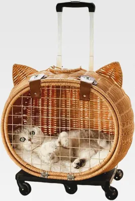 Produktbild von Katzenwagen - Rattan Hundewagen Katzenbox Mit Rädern - Atmungsaktive Haustiertasche Mit Teleskopgriff Für Camping Einkaufen Picknick Outdoor Kätzchen Kaninchen Tier