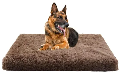 Immagine prodotto di Cuccia per cani morbida e confortevole, con memory foam, 75x50 cm, color marrone. Ortopedica, lavabile e antiscivolo