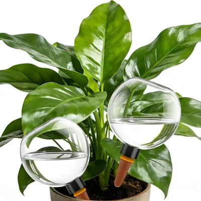 Produktbild von Automatische Bewässerungskugeln 500 ml, 4er Set, PP und Ton, für Garten
