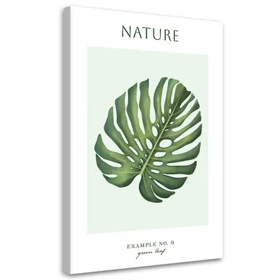 Image de Toile verte feuille – Nature 70x100 Feeby Image verte pour le mur, prête à être accrochée