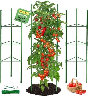 Immagine prodotto di Tutoriale per pomodori, 3 pezzi da 130 cm per ortaggi, pomodori, rose, piante rampicanti da giardino, metallo, 20 fascette