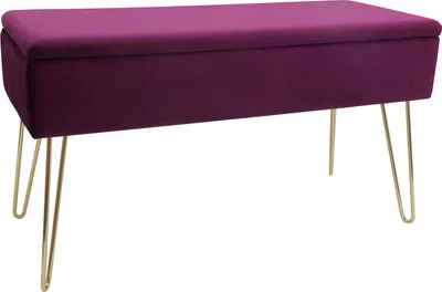 Produktbild von ECHTWERK Sitzbank Scarlett, Polsterbank mit Samtbezug, Aufbewahrungstruhe rechteckig, Schminkbank mit Stauraum, Metallbeine, 75 x 30 x 42 cm, Farbe:Beere