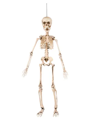 Produktbild von Bewegliches Mini-Skelett Hängedeko Halloween deko