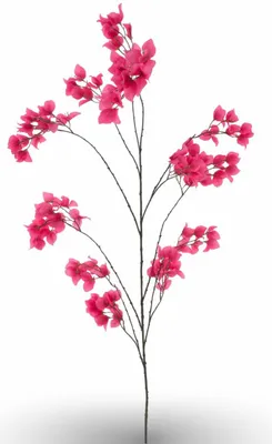 Produktbild von Warentuin Producten