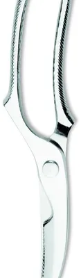 Image de Ghidini Cipriano Trinciapollo Daily en acier inoxydable