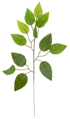 Obrázok produktu pre Cv07555 Ficus List Dekoratívne Vetva Dekoratívne Ficus
