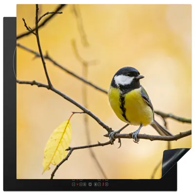 Produktbild von KitchenYeah© Herdabdeckplatte Kohlmeise - Zweig - Vogel - Tiere , 78x78cm, Küche Deko, Glaskeramikkochfeld Herdabdeckung, Abdeckplatte fùr Kochfeld