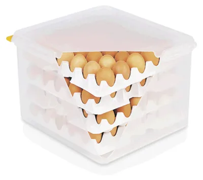 Produktbild von HACCP Eierbox 35,4 x 32,5 x 20 cm