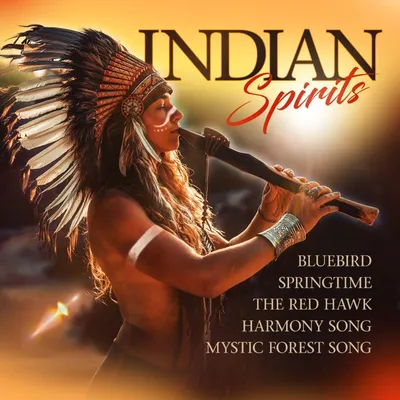 Obrázek produktu pro Various: Indian Spirits