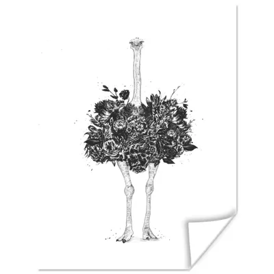 Produktbild von MuchoWow® Poster Strauß - Blumen - Tiere - Weiß 90x120 cm - Wohnzimmer