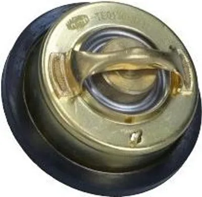 Immagine prodotto di Termostato, refrigerante