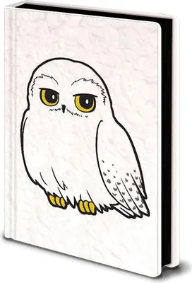 Obrázek produktu pro Zápisník Harry Potter A5 s designem Hedwig a 160 stranami