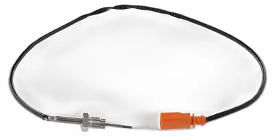 Imagen del producto de Sensor, temperatura de los gases de escape