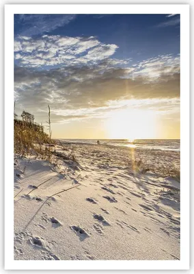 Produktbild von Poster - Poster ohne Rahmen - Sand Gras Meer - 70x100 cm - Wand Bild - Wanddeko - Wandbilder - Kunstposter - Wandposter - Bilder - Kunstdruck - Wanddekoration - Wandbild - P2XPA70x100-4781