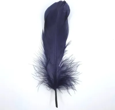Immagine prodotto di Piume Piume d'oca, circa 15-20 cm, 10 pezzi, blu scuro