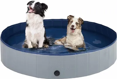 Produktbild von Faltbarer Hundepool 80 x 20 cm aus PVC, für kleine und große Hunde, Tierbecken und Planschbecken, grau