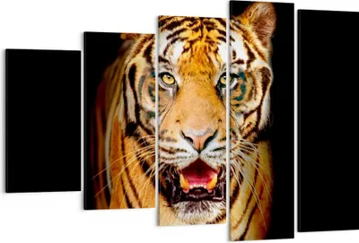 Produktbild von Bild auf Leinwand - Leinwandbild - tiger tier - 150x100cm - Wand Bild - Wanddeko - Wandbilder - Leinwanddruck - Bilder - Kunstdruck - Wanddekoration - Leinwand bilder - Wandkunst - EG150x100-4103