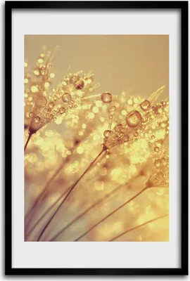 Produktbild von Bild - Bilderrahmen - 40 cm x 60 cm - MDF - Rahmen - Wandkunst - Löwenzahnsamen