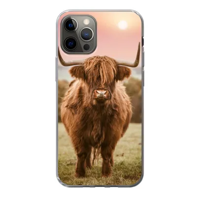 Produktbild von MuchoWow® Handyhülle Schutzhülle Hülle für iPhone 12 Pro Schottischer Highlander - Sonne - Himmel Silikon Softcase Handy Hülle - Abdeckung