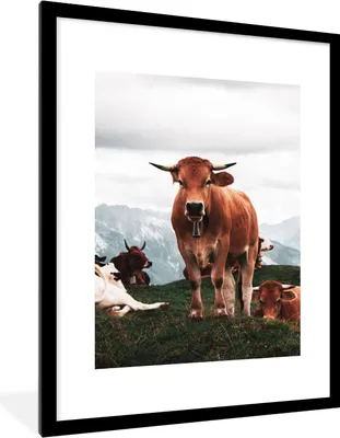 Produktbild von MuchoWow® Gerahmtes Poster Tiere - Kuh - Berg 60x80 cm - Poster mit Schwarzem Bilderrahmen Wandposter Rahmen Foto Bilder - Wohnzimmer - Dekorationen - Prämie