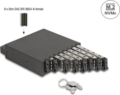 Image de DELOCK 5.25 Wechselrahmen für 8 x M.2 NVMe SSD Slim SFF-8654