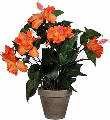 Image de Mica Decorations Plante artificielle d'hibiscus dans un pot de fleurs Stan - H40 x Ø30 cm - Orange