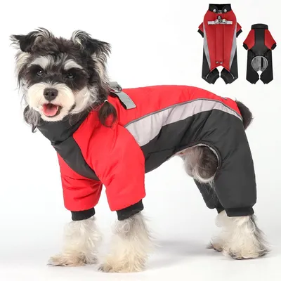 Image de Combinaison imperméable ajustable pour chiens