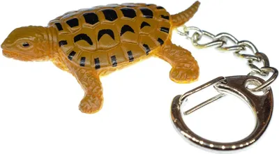 Produktbild von Landschildkröte Schlüsselanhänger Miniblings Anhänger Schildkröte braun