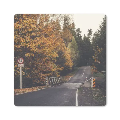 Produktbild von MuchoWow® Mauspad Mousepad Bäume - Straße - Herbst 20x20 cm - Mousepads - Maus Mat - Pad - Mausunterlage - Desk Mat - Bureauartikeln