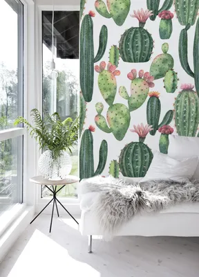 Produktbild von Coloray Fototapete 152x104 cm Latextapete Magicstick - Kakteen Botanische Wüste mexikanischer dorniger Ery