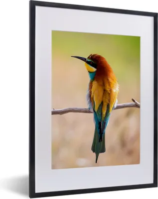Produktbild von MuchoWow® Gerahmtes Poster Vögel - Bienenfresser - Tiere 30x40 cm - Poster mit Schwarzem Bilderrahmen Wandposter Rahmen Foto Bilder - Wandposter Schlafzimmer