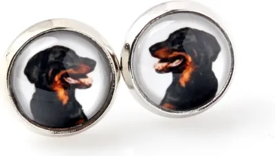 Image de Berger de Beauce - Tes boucles d'oreilles sont faites à la main, photo personnelle, bijoux de la marque Art.-Dog.
