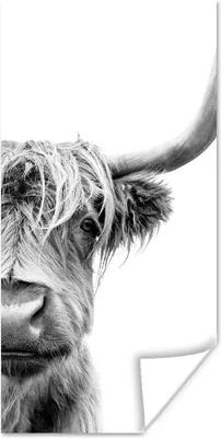 Produktbild von MuchoWow® Poster Schottischer Highlander - Tiere - Schwarz - Weiß 60x120 cm - Wandschmuck