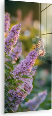 Produktbild von MuchoWow Glasbilder - Bilder auf Wandbild - Foto auf Glas Verschnörkelt - Schmetterling - Lila - Blumen 40x80 cm Wanddekoration aus Glas - Acrylglasbild - Acrylbilder - Wanddekoration