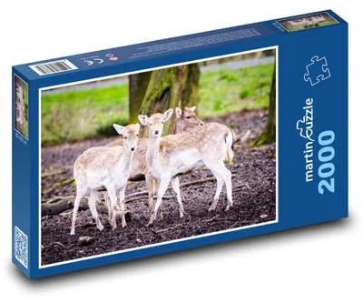 Zdjęcie produktu dla martinpuzzle - Puzzle 2000 - Daněk