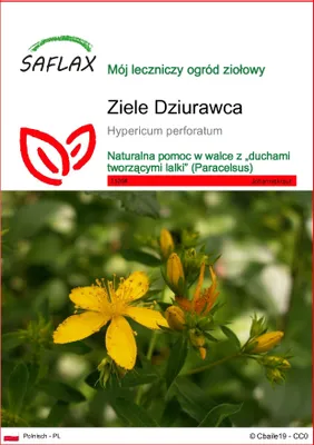Zdjęcie produktu dla SAFLAX - Ziele Dziurawca - 300 Nasiona - Hypericum perforatum