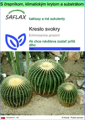 Obrázok produktu pre SAFLAX Garden to go - kreslo svokry - Echinocactus grusonii - 40 Semená - S črepníkom, klimatickým vekom a pestovateľským substrátom